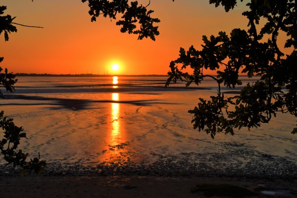 Strand von Dangast - (c) R Herling.jpg